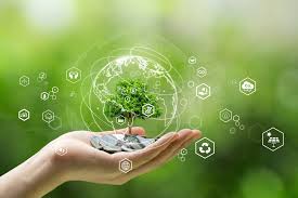 Derecho Ambiental y de la Naturaleza [DERPROF524-2021]